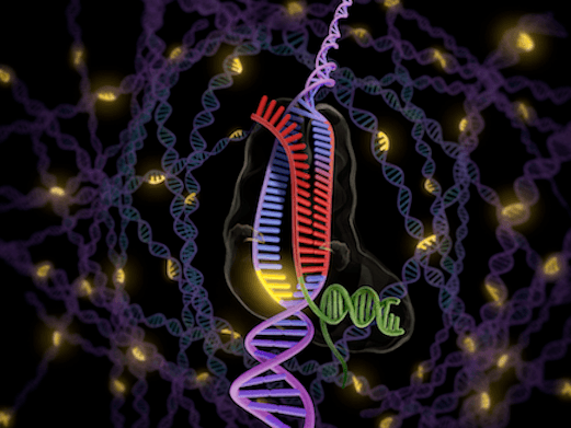 Big Data, Discovery, Streams, Analytics, Cluster Computing, Hadoop, Spark, Pig, Flink, SQL, R, Graphs, MLlib, BlinkDB, Tachyon, Kafka