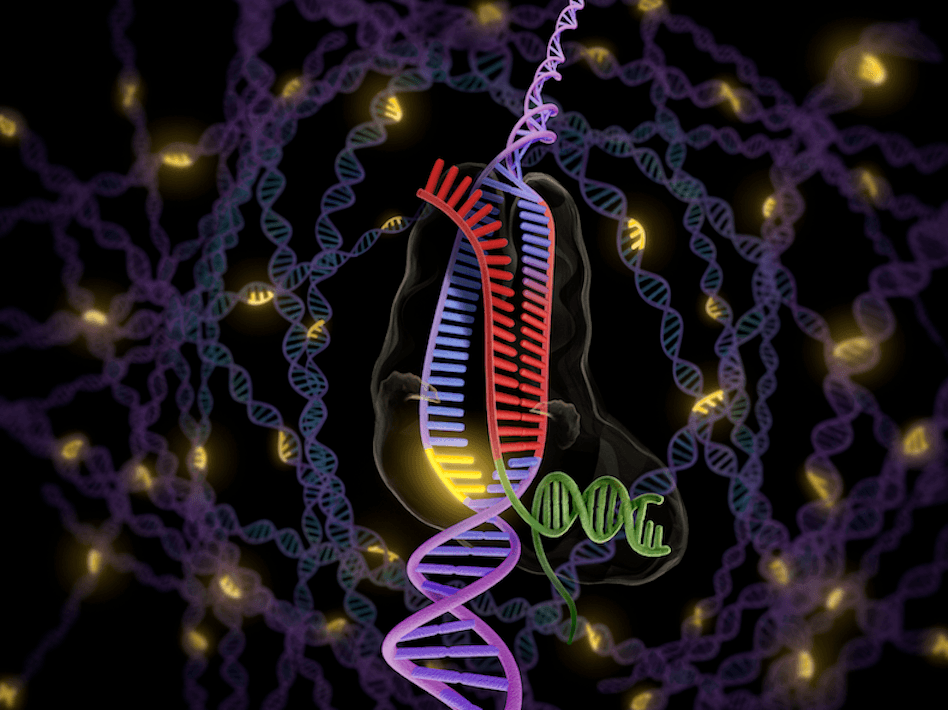 Big Data, Discovery, Streams, Analytics, Cluster Computing, Hadoop, Spark, Pig, Flink, SQL, R, Graphs, MLlib, BlinkDB, Tachyon, Kafka